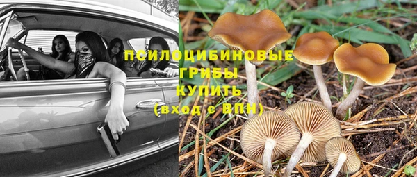 гашик Зеленодольск