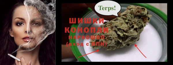 хмурый Заводоуковск